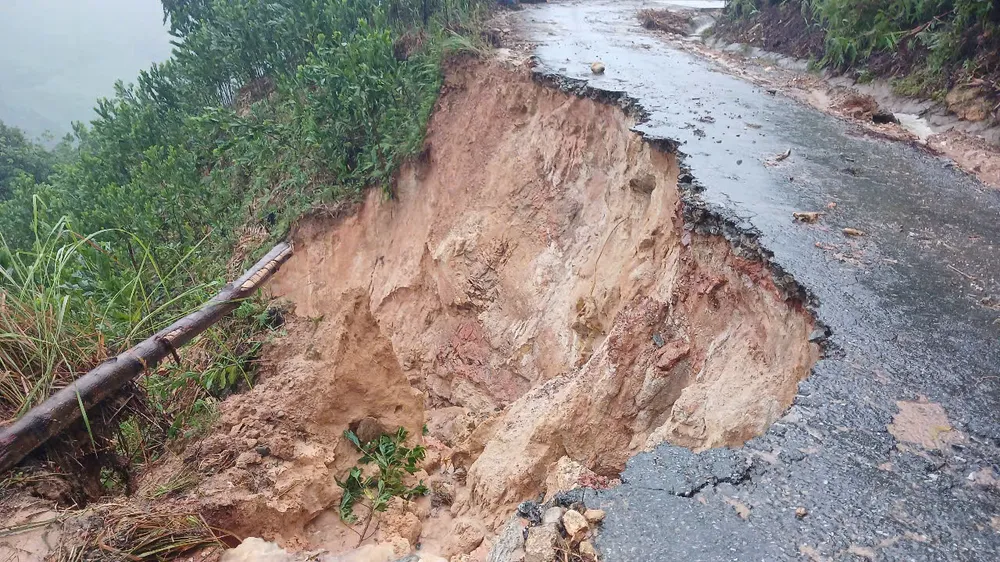 1228309549252278597 (4).jpg