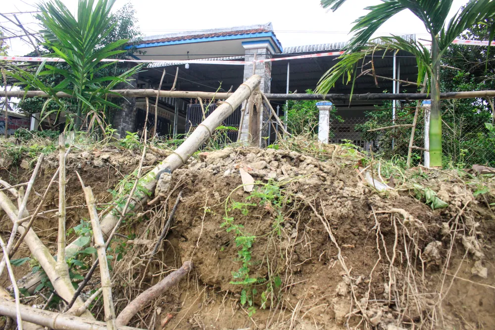 phuoc giang 6 (1 of 1).jpg