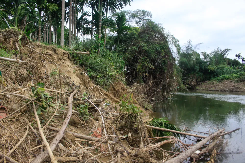 phuoc giang 9 (1 of 1).jpg