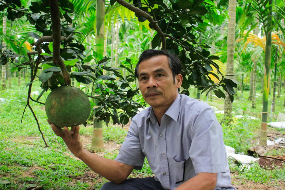 nong dan 2 (1 of 1).jpg