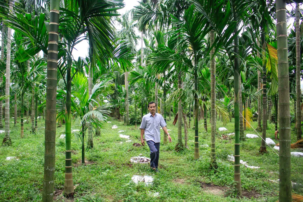 nong dan 3 (1 of 1).jpg