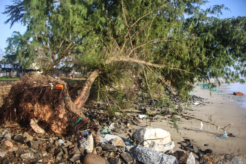 tinh khe 11 (1 of 1).jpg