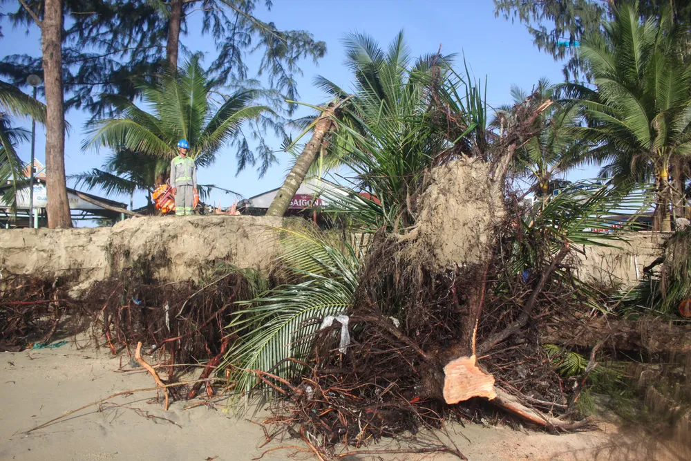 tinh khe 17 (1 of 1).jpg