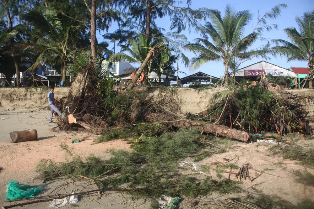 tinh khe 19 (1 of 1).jpg