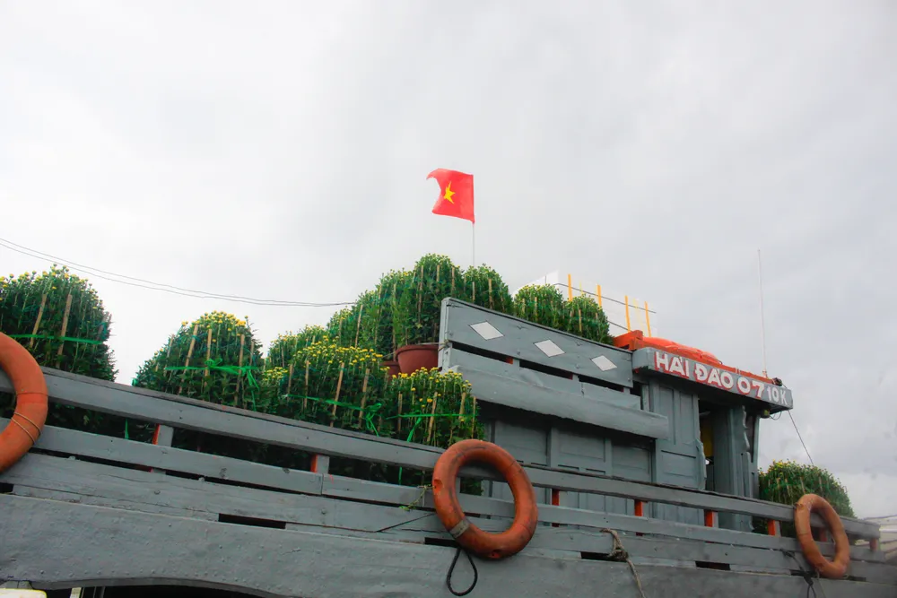 TAU HOA 2 (1 of 1).jpg