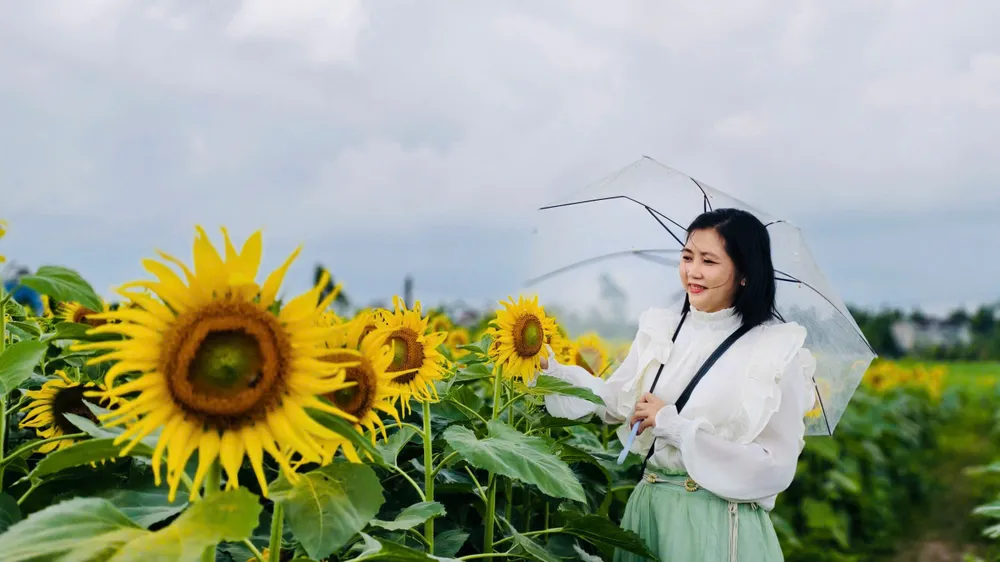 canh dong hoa (4).jpg