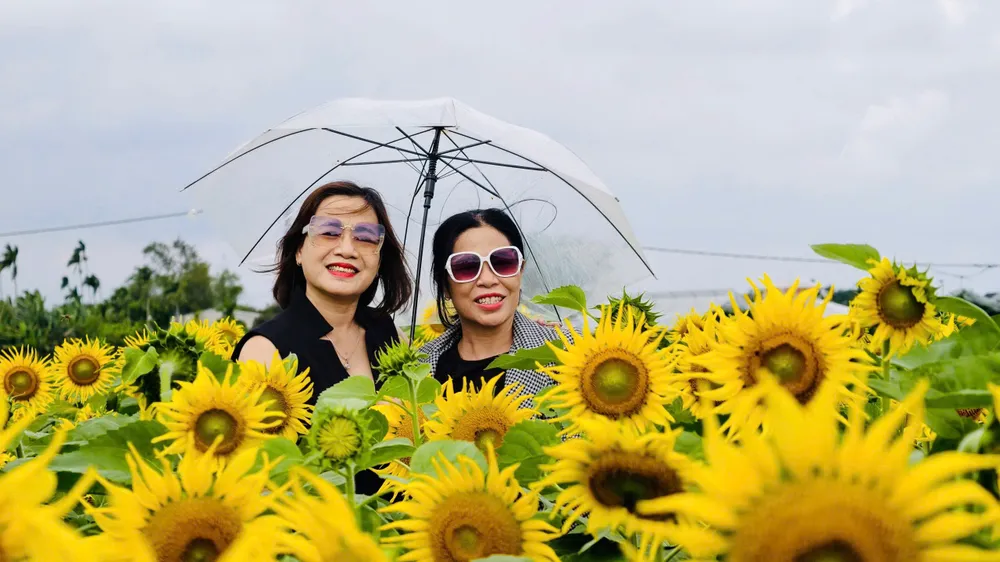 canh dong hoa (6).jpg