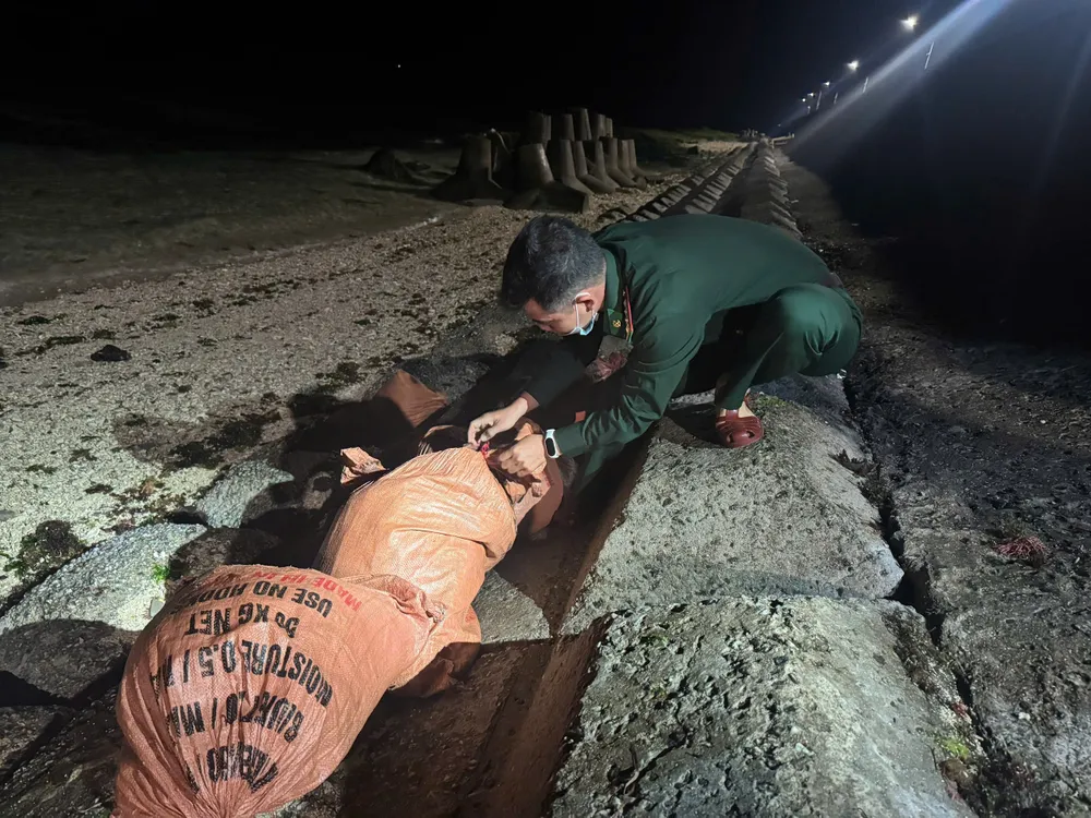 bao tài phát hiện