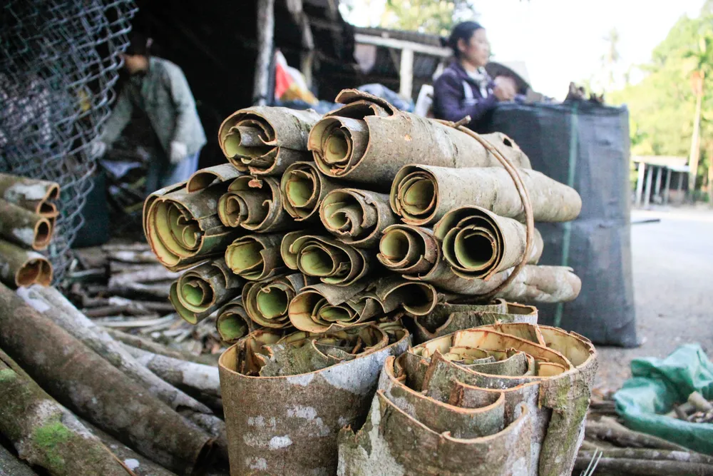 quế trà bồng 7 (1 of 1).jpg