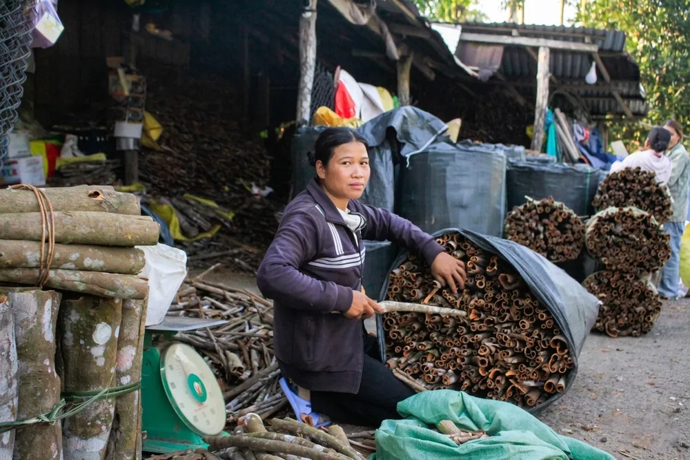 quế trà bồng lấy sggp.jpg