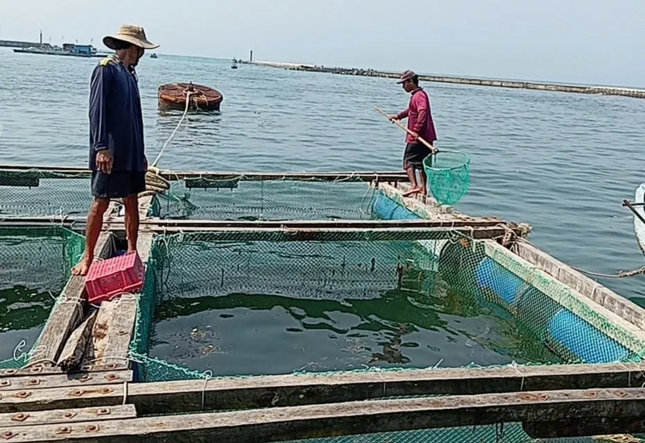 đình nhựt (5).jpg