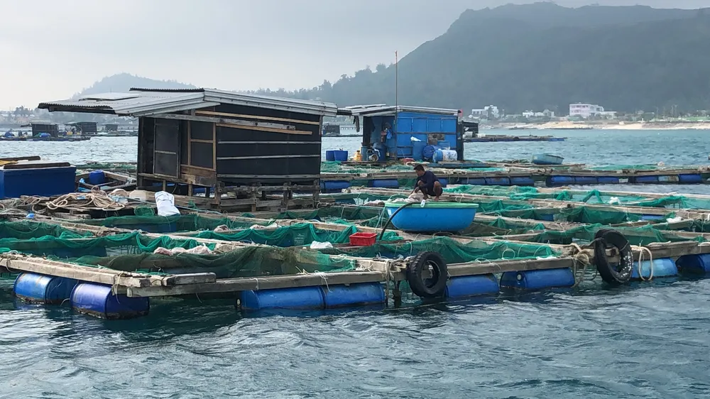 đình nhựt (6).JPG