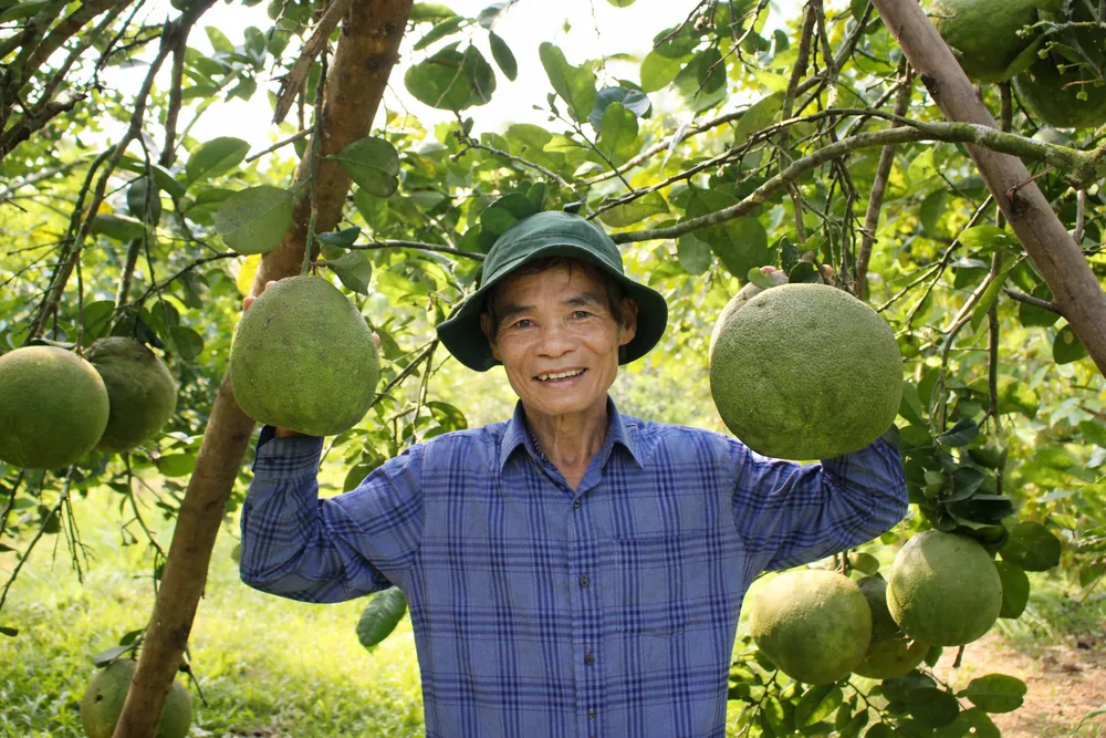 vươn cây ăn quả.jpg