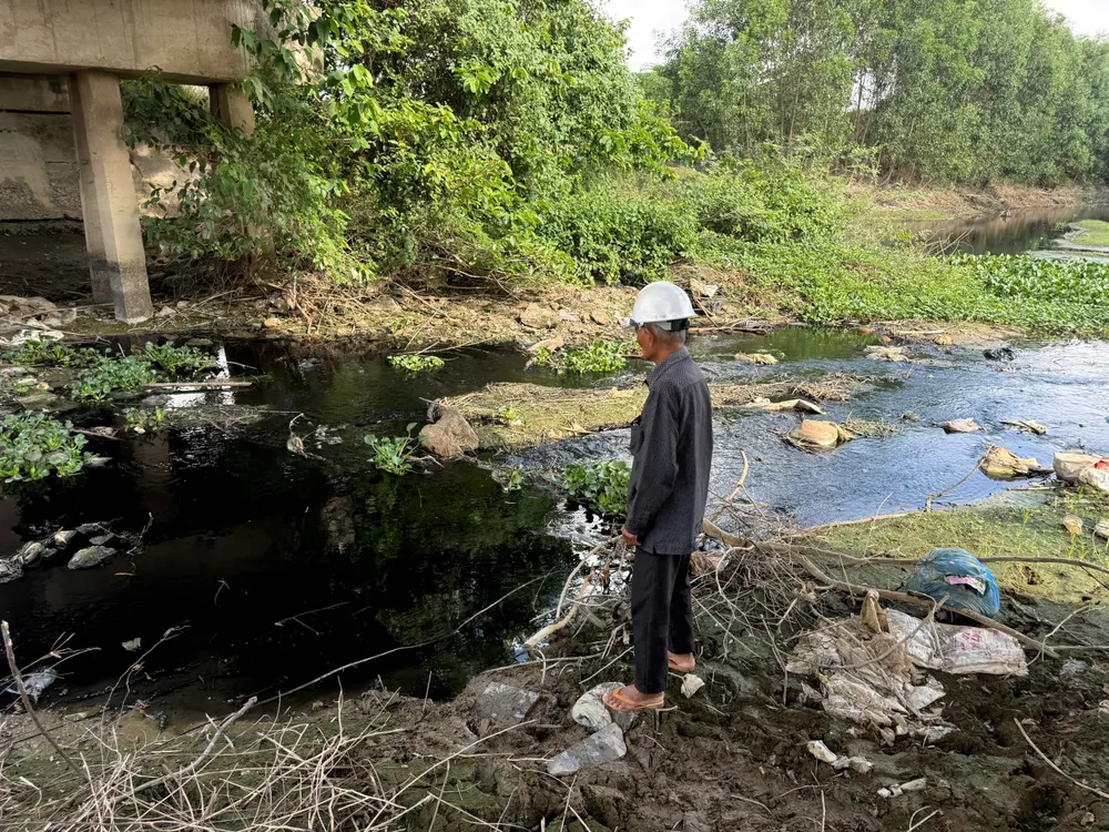 nguyễn trang (3).jpg