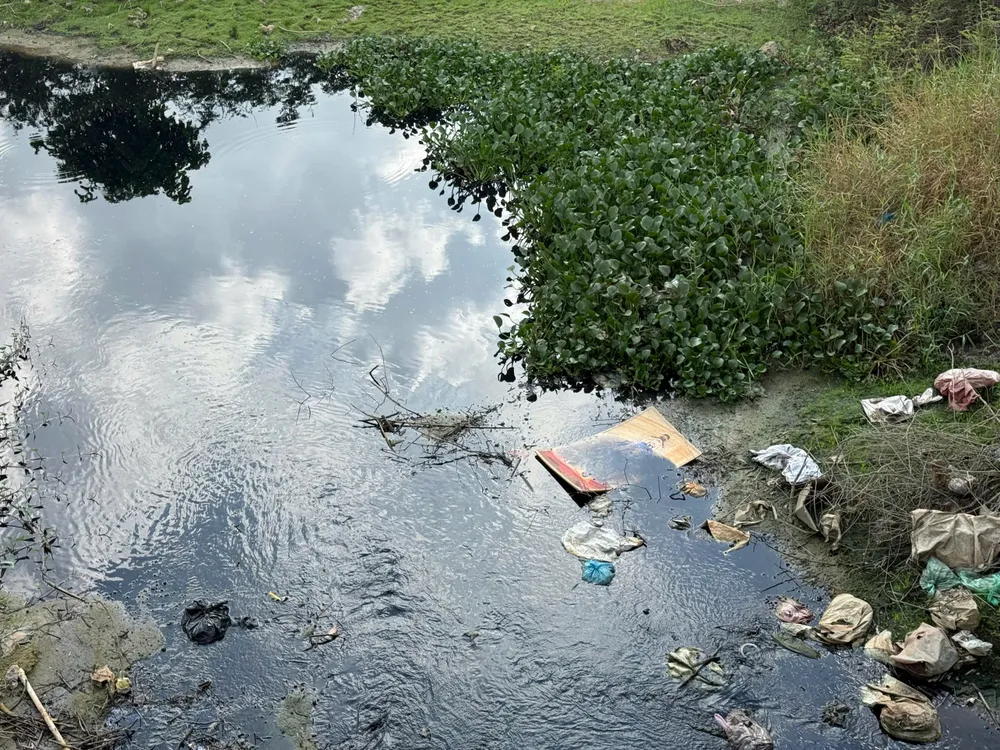 nguyễn trang (4).jpg