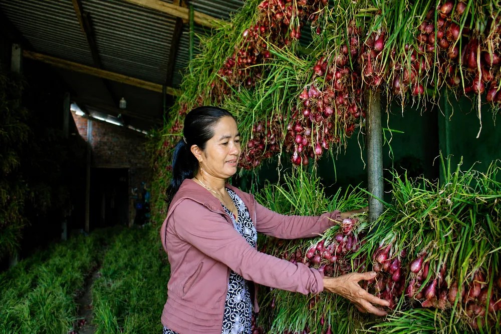 hanh tim binh hai 2.jpg