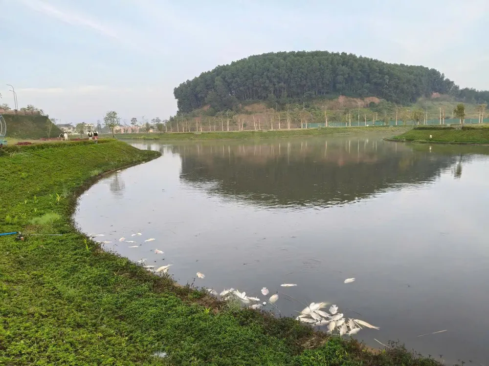 khu dân cư