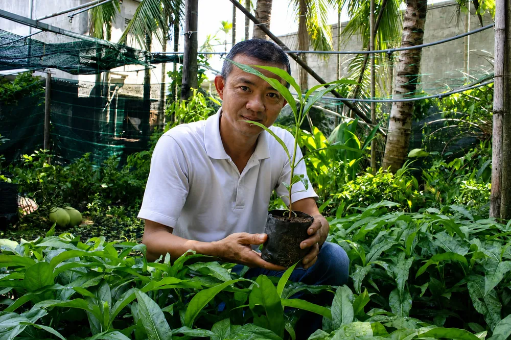 vườn ươm nhau.jpg