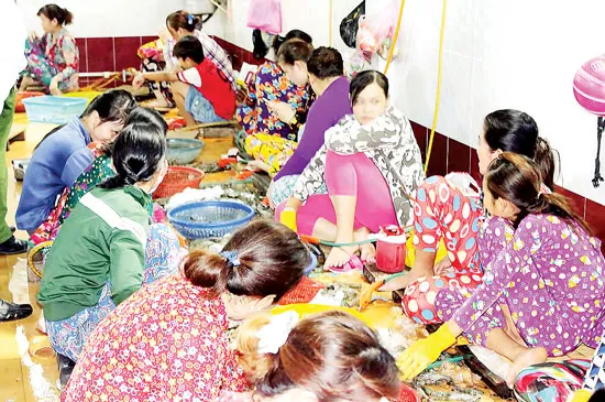 Một cơ sở bơm tạp chất vào tôm ở Bạc Liêu bị phát hiện. Ảnh: MINH LUÂN