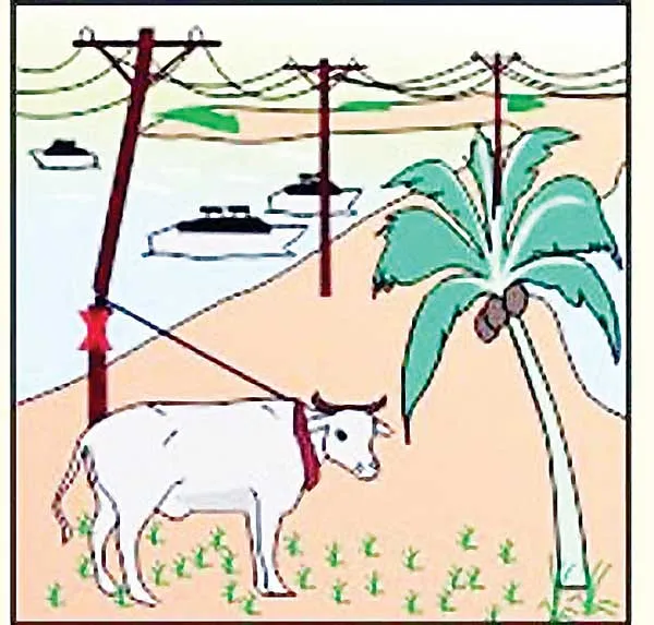 Phòng tai nạn điện và cháy,  nổ đường dây điện ngoài trời ảnh 2