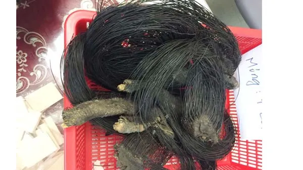 Tạm giữ hơn 4 kg ngà voi nhập lậu ảnh 1