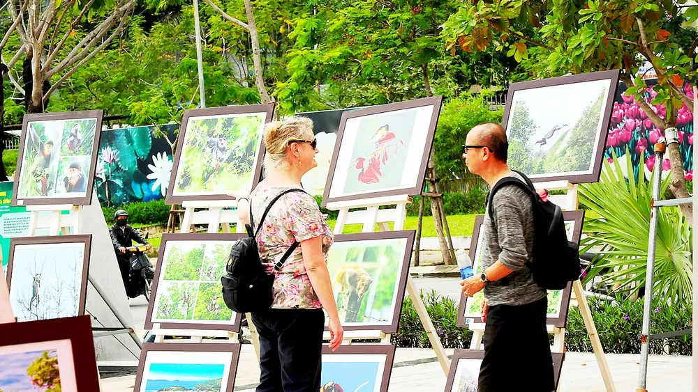 Khoảnh khắc Sơn Trà ảnh 2