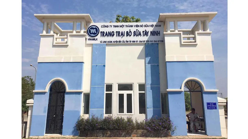 Vinamilk nhập khẩu 2.000 con bò sữa từ Mỹ ảnh 1