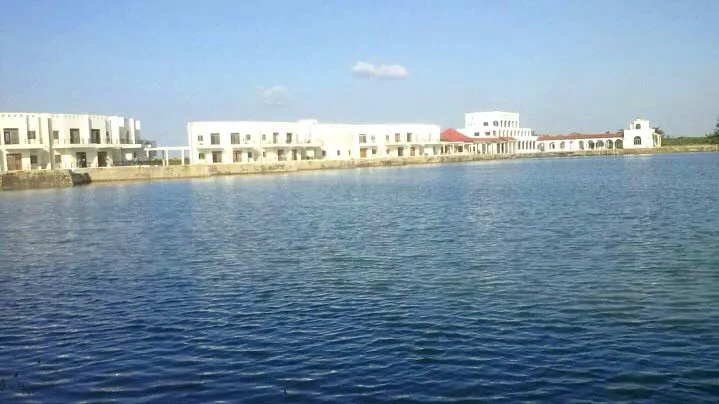 Vinamilk nhập khẩu 2.000 con bò sữa từ Mỹ ảnh 3