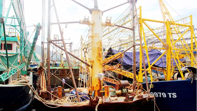  Ngân hàng giữ sổ đỏ, làm khó ngư dân ảnh 1