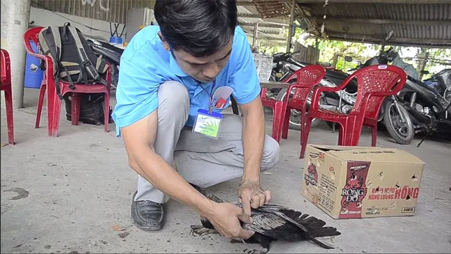 Bàn giao chim cổ rắn cực kỳ quý hiếm cho Thảo Cầm Viên Sài Gòn ảnh 1