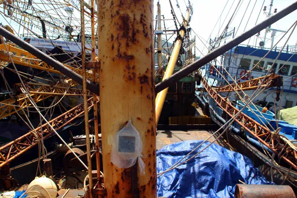 Cận cảnh tàu vỏ thép NĐ 67 rỉ sét vì bị doanh nghiệp tráo thép “dỏm” ảnh 6