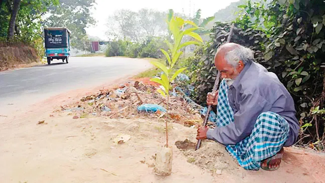 ​48 năm trồng cây xanh ảnh 1