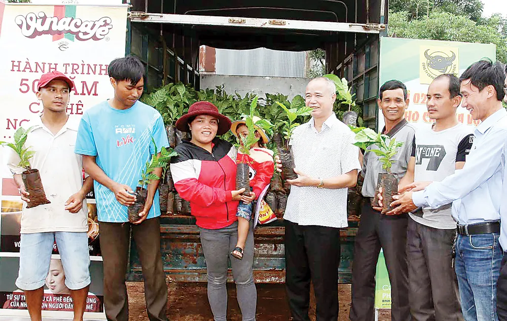 Mô hình tái canh cây cà phê bền vững ảnh 2