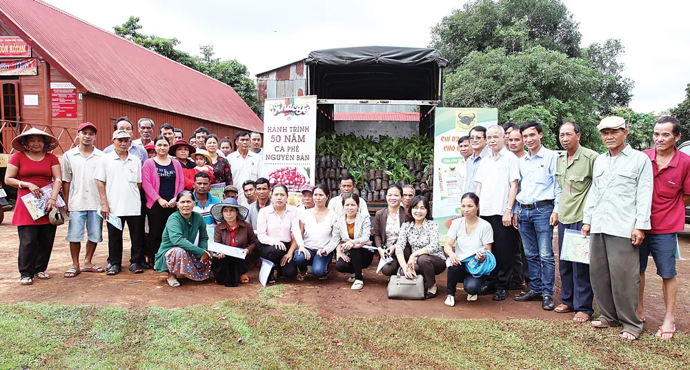 Mô hình tái canh cây cà phê bền vững ảnh 3