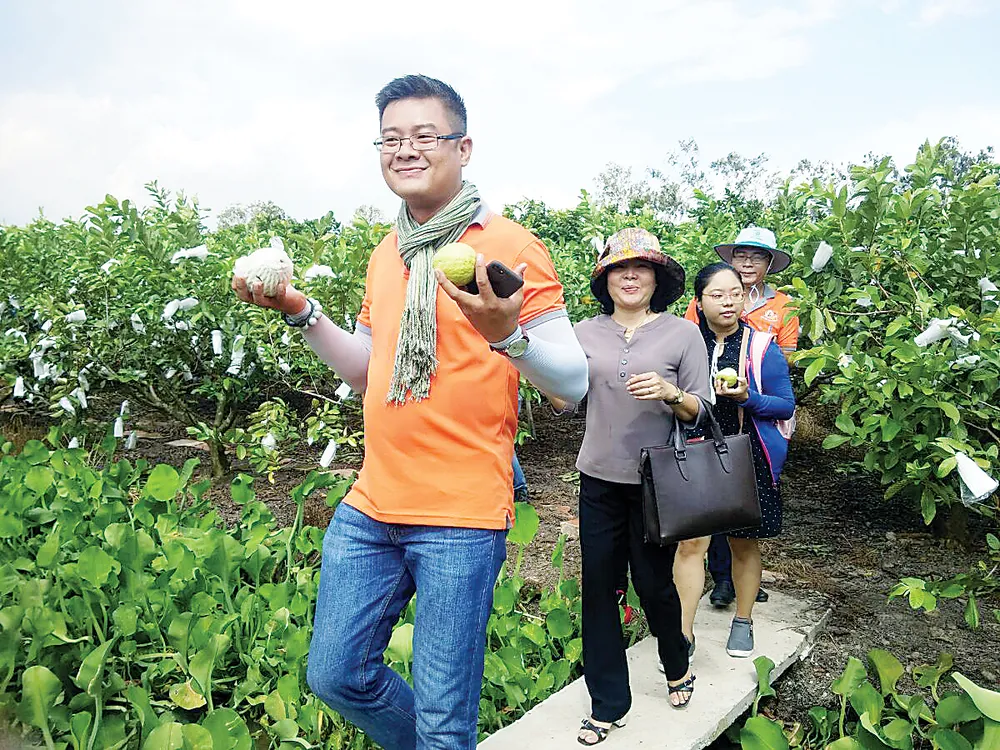 ​ Ghé “đảo ngọt”, dạo chơi Vàm Hồ ảnh 1