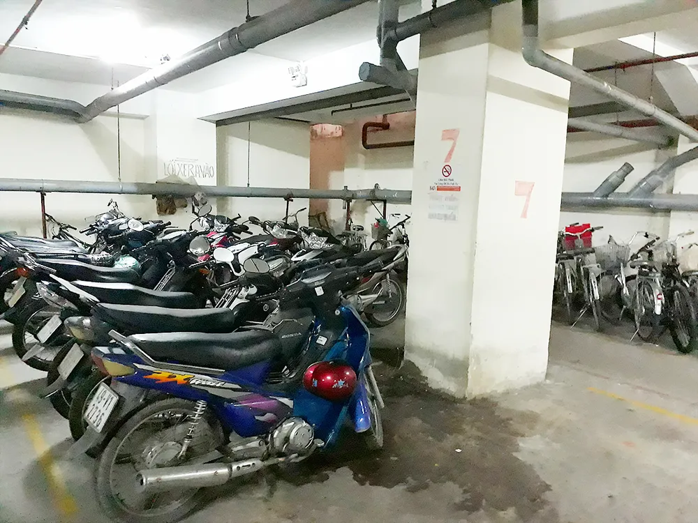 Diệt muỗi ở cao ốc A chung cư Ngô Gia Tự ảnh 1