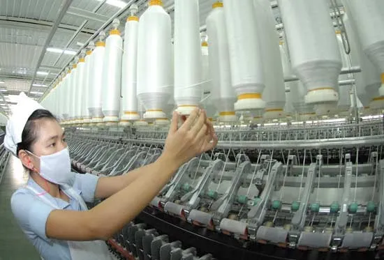 Việt Nam là thị trường tiêu thụ bông vải số 1 của Mỹ ảnh 1