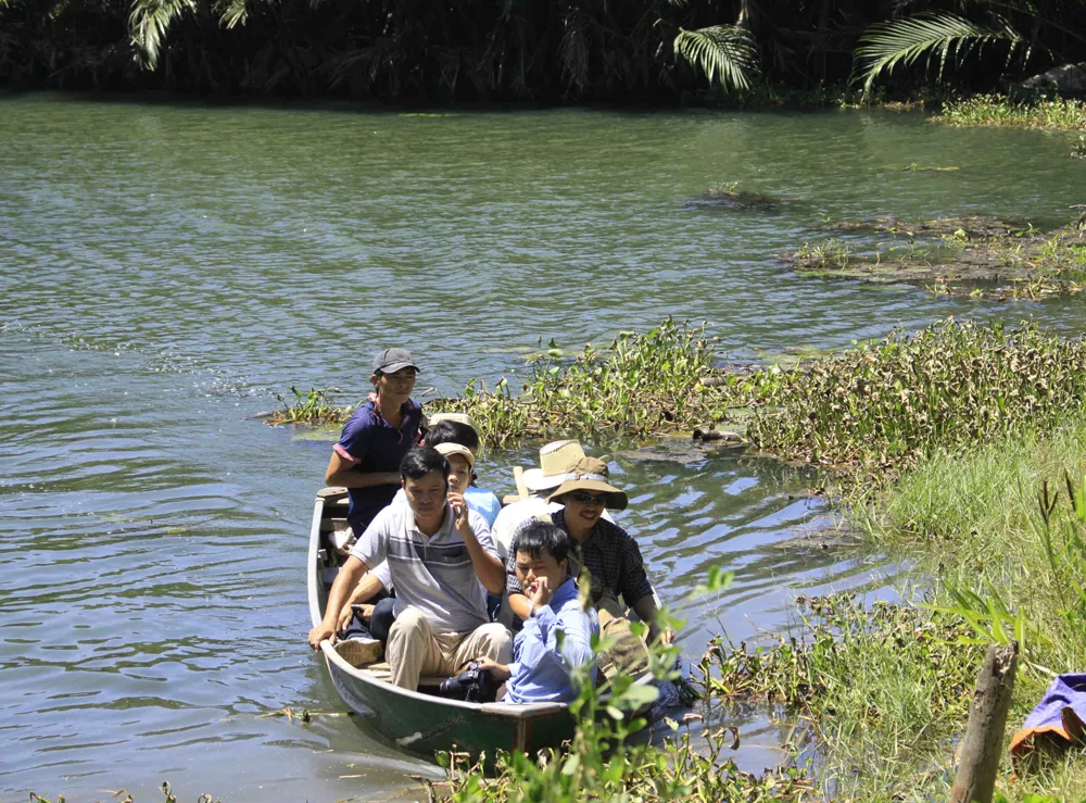 Quảng Ngãi: Chính quyền muốn chặt 50ha dừa nước, nhà khoa học nói phải giữ ảnh 3