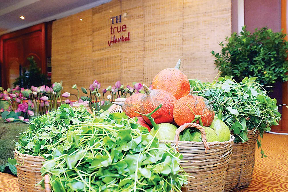 Gấc đỏ lọt vào “mắt xanh” nhà khoa học Đức, Hà Lan ảnh 3