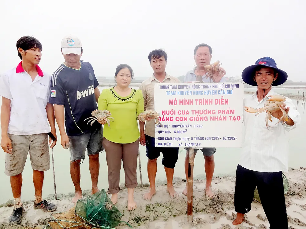 Thoát nghèo ngay trên… ruộng muối ảnh 1