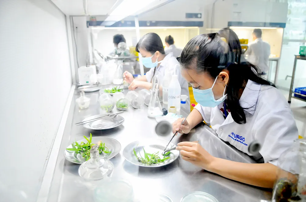 Để TPHCM trở thành trung tâm sản xuất giống của khu vực ảnh 1