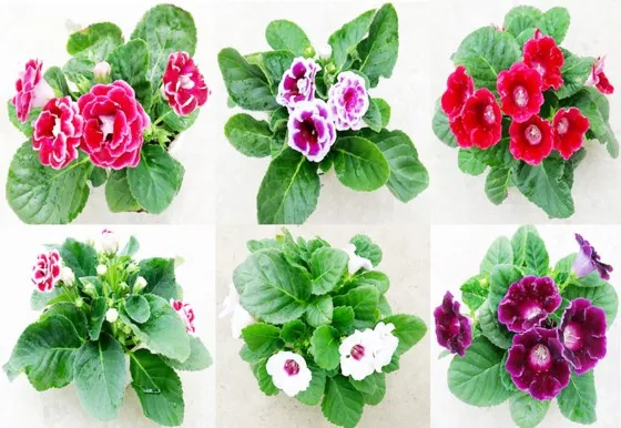 Khơi thông điểm nghẽn ảnh 1