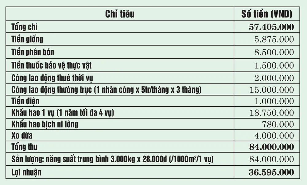 Trồng dưa lưới trong nhà màng ảnh 2