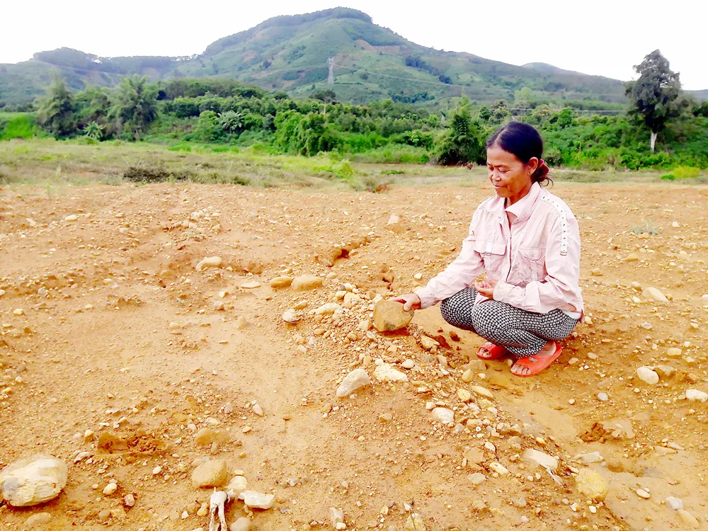 Sống khổ trên…mỏ vàng ảnh 1