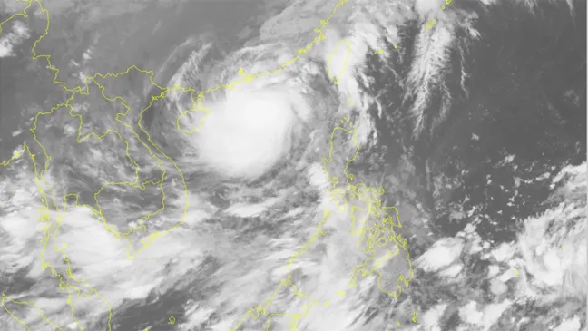 Bão số 11 có khả năng suy yếu thành áp thấp nhiệt đới  ảnh 2