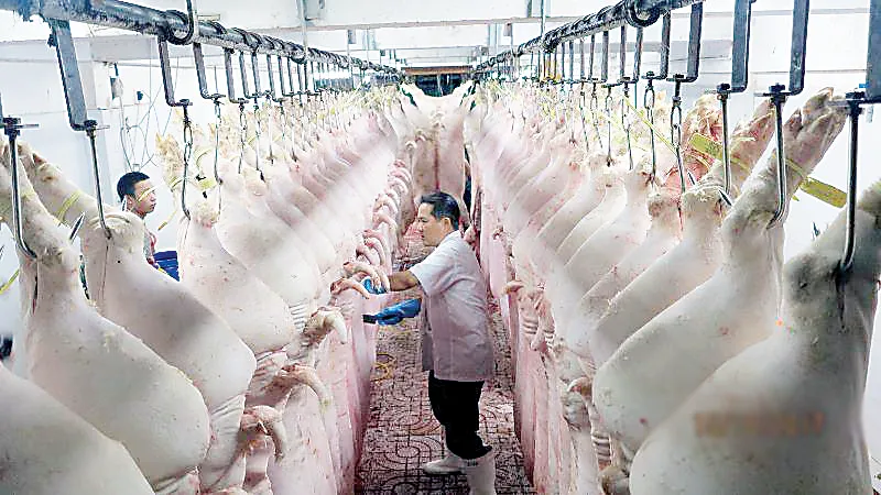 Seal niêm phong công nghệ cao sẽ được sản xuất ở Việt Nam ảnh 1