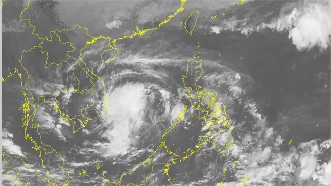 Thủ tướng chỉ đạo ứng phó khẩn cấp bão số 14 ảnh 2