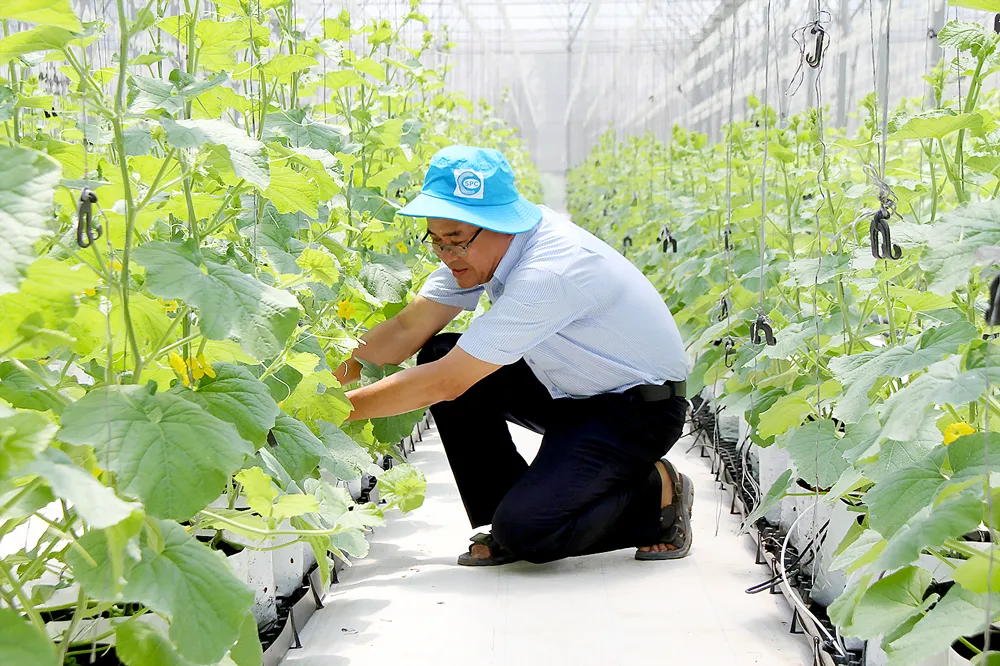 Tiệm cận nông nghiệp 4.0 ảnh 1