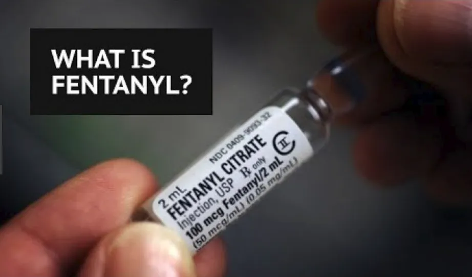Các băng nhóm ma túy ở Mexico tự sản xuất fentanyl ảnh 1