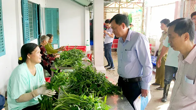 Để rau muống nước tìm lại thị trường ảnh 1